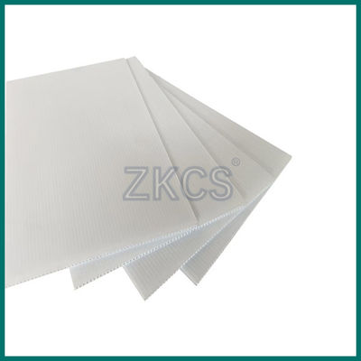 Tabla hueca de PP ¢ Hojas de plástico ligeras, duraderas y versátiles para publicidad y exposición